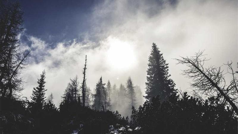 Ensofi video thumbnail